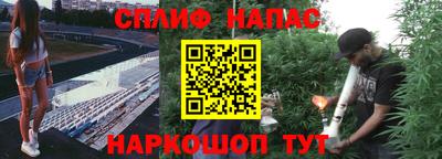 хмурый Краснознаменск