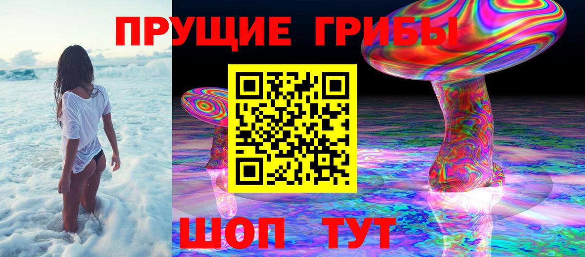 Избербаш  Галлюциногенные грибы GOLDEN TEACHER  сколько стоит  Вход с VPN 